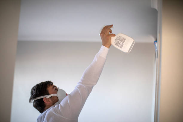 Best Crawl Space Mold Removal  in Amity, OR