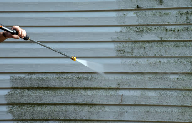 Attic Mold Removal in Amity, OR