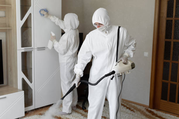 Mold Testing and Removal in Amity, OR