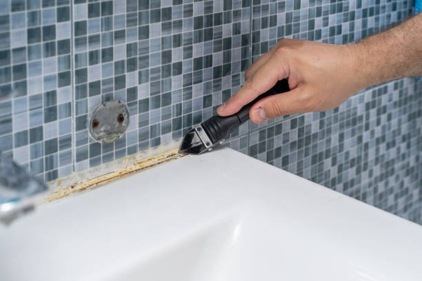Best Local Mold Removal Service  in Amity, OR
